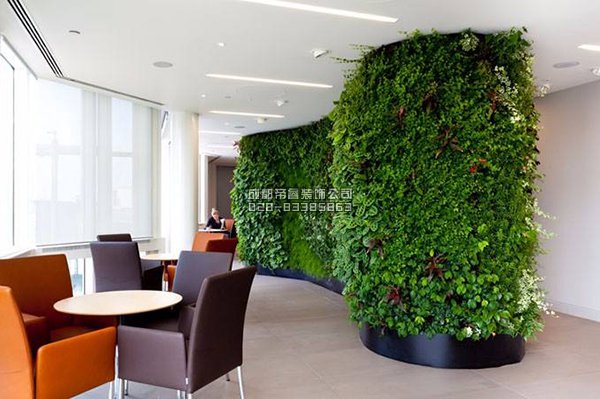 辦公室裝修完以后擺放什么綠植好？